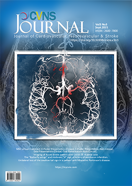 					View Vol. 3 No. 3 (2021): Journal of Cardiovascular, Neurovascular & Stroke
				